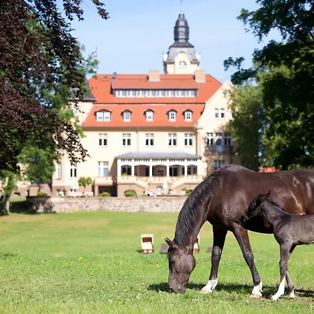 Prázdninový dům Haus 3 *